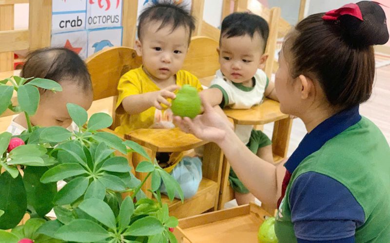 Cô đưa quả cho các bé nhỏ ngồi ghế ăn